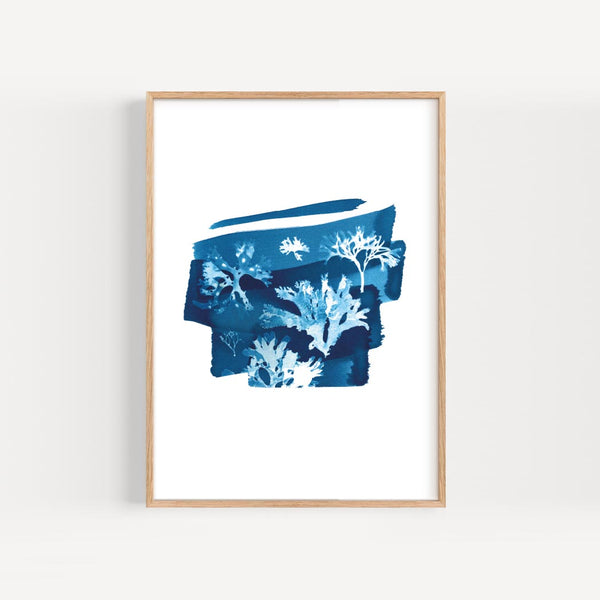 Seaweed Print - Tideline Mark IV by paper birch