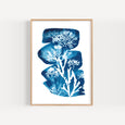 seaweed print tideline, blue cyanotype by paper birch