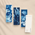 Set of 3 bookmarks featuring seaweed collected on the shores of Cornwall