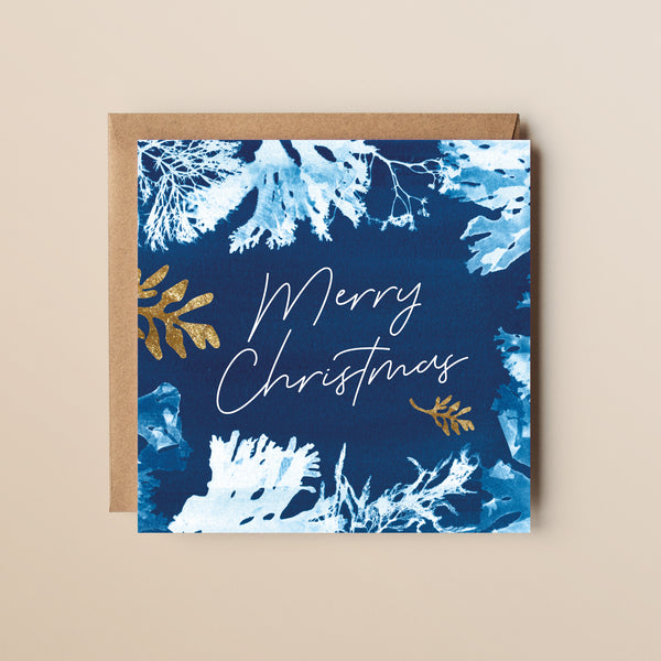 Merry Christmas Greeting Card featuring a seaweed cyanotype design and gold foil texture elements
