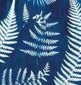 Cyanotype fern print detail made in Cornwall by Paper Birch