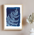 Cyanotype fern print made in Cornwall by Paper Birch