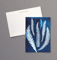 British Ferns - Pack of 5 postcards featuring cyanotype fern prints