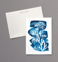british seaweed cyanotype postcard set, gift set, cornwall art, sea inspired stationery