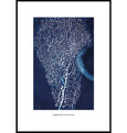 Purple Sea Fan, Cyanotype Wall Art Print