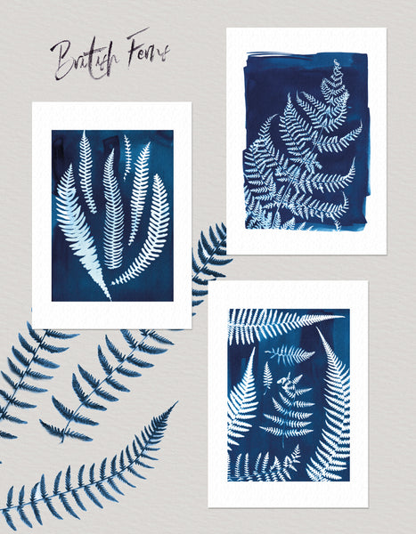 Set of 3 coastal wall art prints, ferns collected in Cornwall