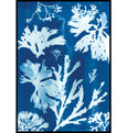 Lowland Point, Cornwall Cyanotype Seaweed wall art Print