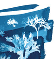 Cyanotype Seaweed Tideline wall art Print, made in Cornwall