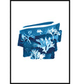 Cyanotype Seaweed Tideline wall art Print, made in Cornwall