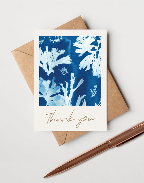 Coastal Mini Thank You Cards & Envelopes, Pack of 10