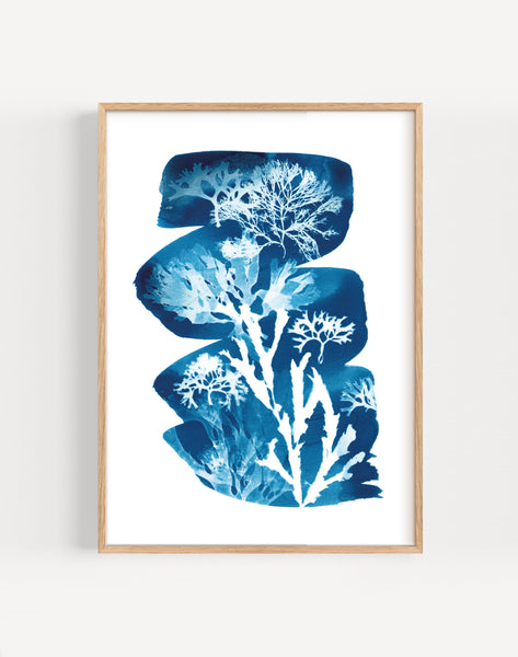 Tideline Seaweed Cyanotype Print by Paper Birch